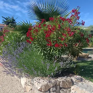 Douce Provence Magnifique Neuf Avec Jardin Proche Du Centre Appartement
